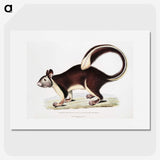 1-82_Indian-Zoology_picture