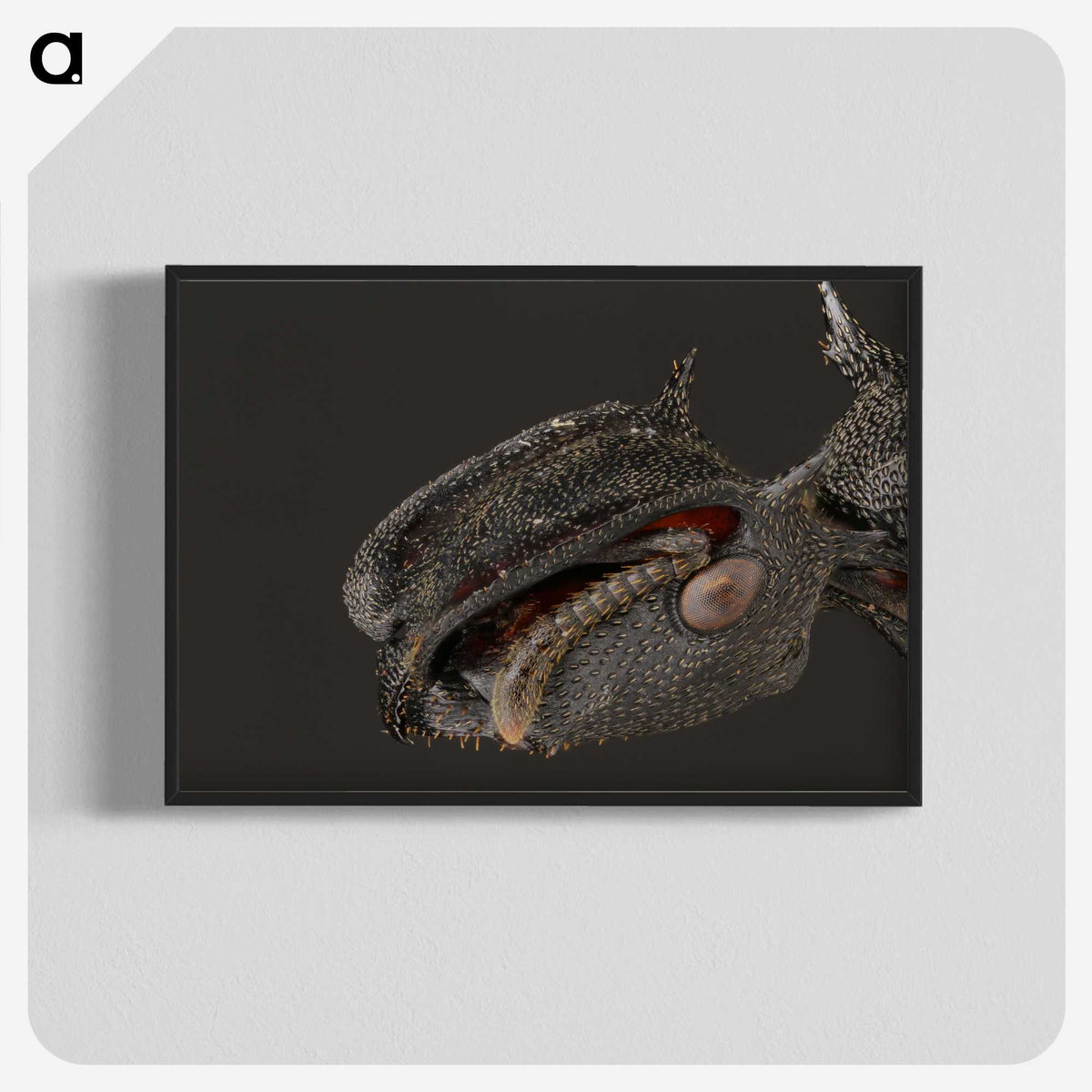 1-82_Insects-Unlocked-Project_blk-crop