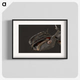 1-82_Insects-Unlocked-Project_blk