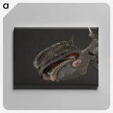 1-82_Insects-Unlocked-Project_canvas