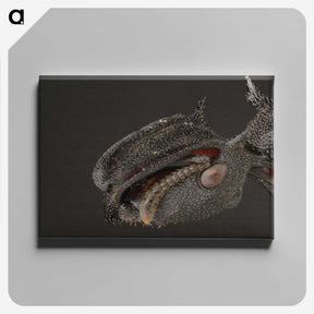 1-82_Insects-Unlocked-Project_canvas