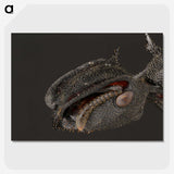 1-82_Insects-Unlocked-Project_picture-crop