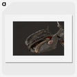 1-82_Insects-Unlocked-Project_picture