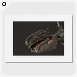 1-82_Insects-Unlocked-Project_picture