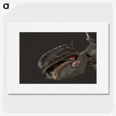 1-82_Insects-Unlocked-Project_picture