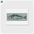 アートポストカード-Fish - ジャン ベルナール Postcard.