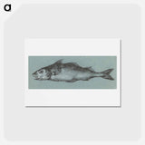 アートポストカード-Fish - ジャン ベルナール Postcard.
