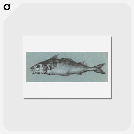 アートポストカード-Fish - ジャン ベルナール Postcard.