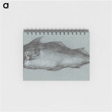 1-82_Jean-Bernard_memo