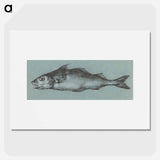 Fish - ジャン ベルナール Poster.