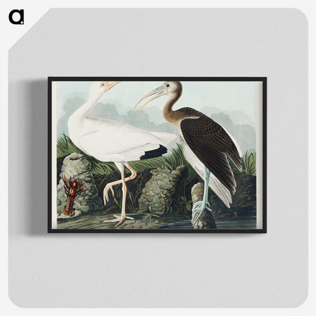 1-82_John-James-Audubon_blk-crop