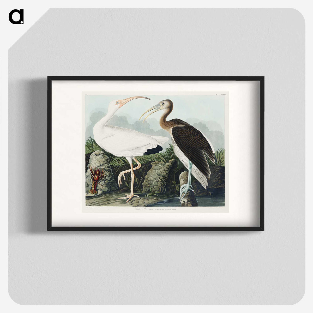 1-82_John-James-Audubon_blk