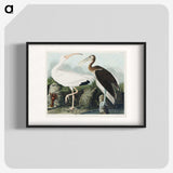 1-82_John-James-Audubon_blk