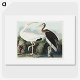 1-82_John-James-Audubon_picture
