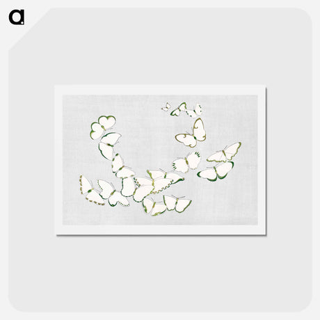 アートポストカード-Japanese butterfly - 神坂 雪佳 Postcard.