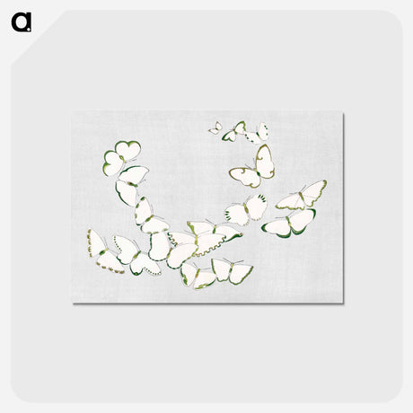 アートポストカード-Japanese butterfly - 神坂 雪佳 Postcard.