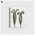 1-82_Karl-Blossfeldt_memo