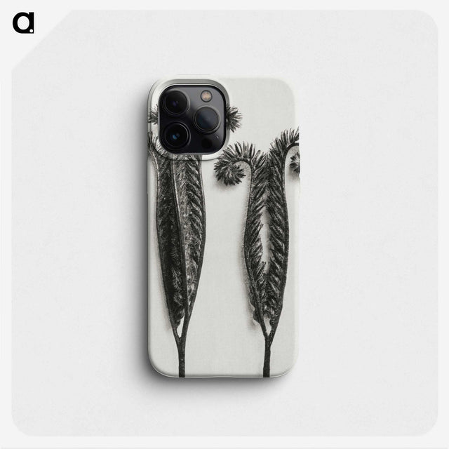 1-82_Karl-Blossfeldt_phone