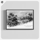 1-82_Les-Palmiers-Histoire-Iconographique_blk-crop