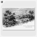 1-82_Les-Palmiers-Histoire-Iconographique_picture-crop