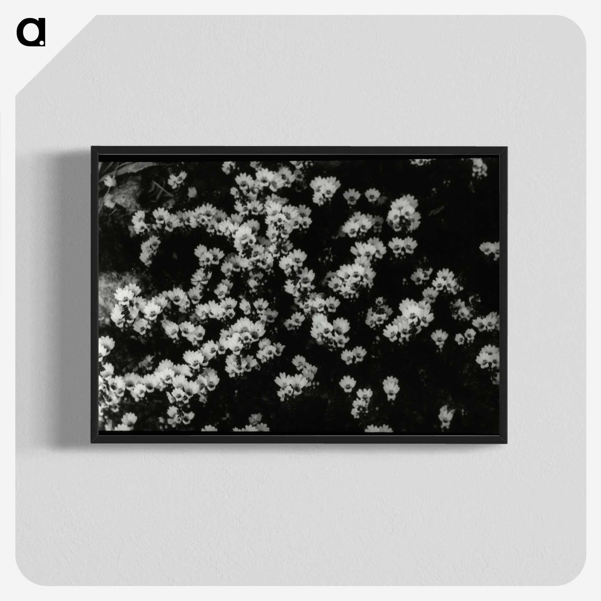 1-82_Leslie-Adkin_blk-crop
