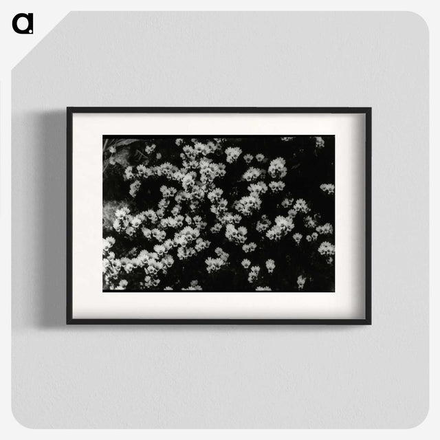 1-82_Leslie-Adkin_blk