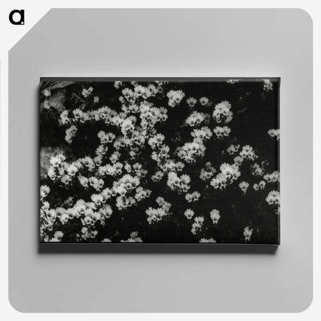 1-82_Leslie-Adkin_canvas
