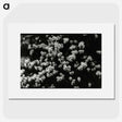 1-82_Leslie-Adkin_picture