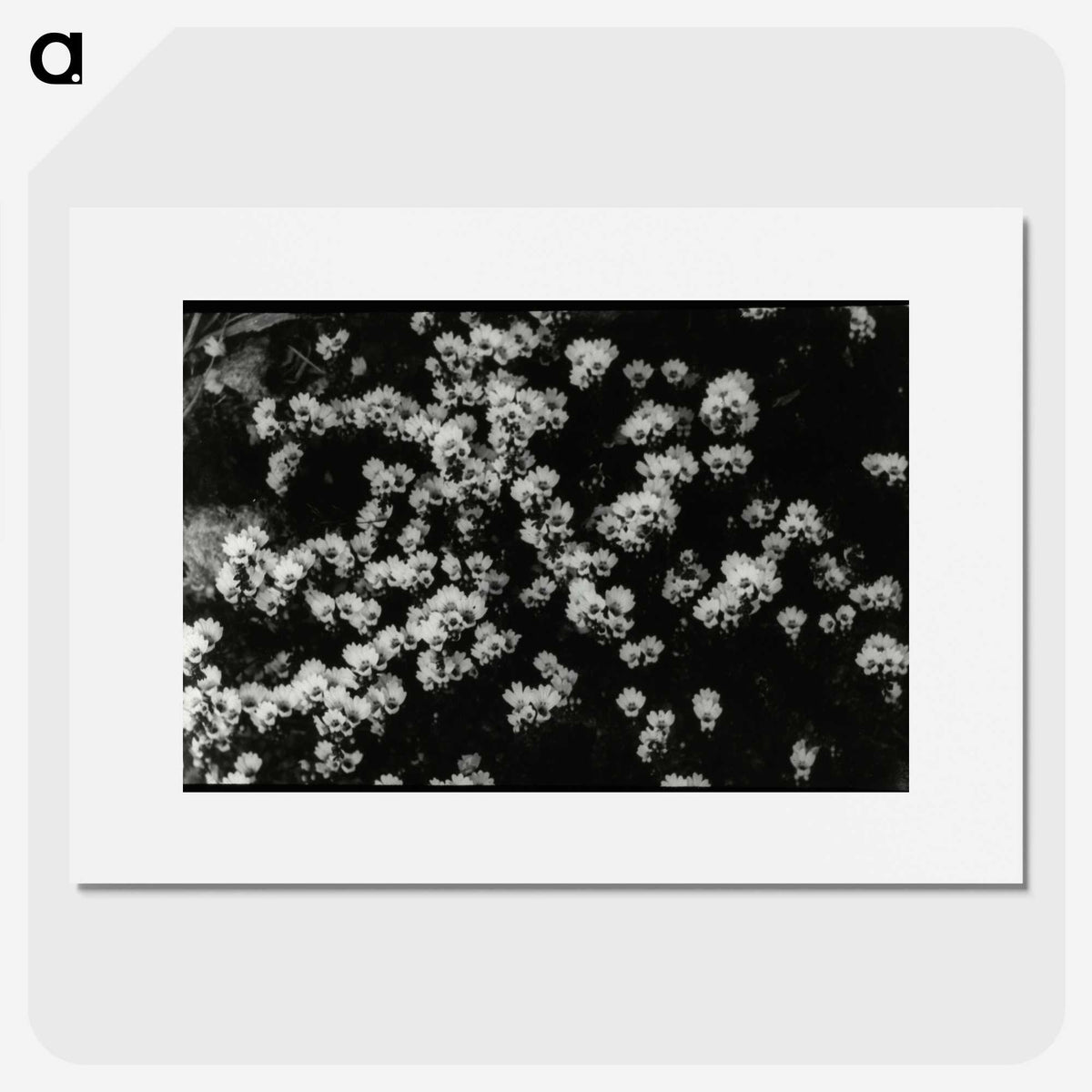 1-82_Leslie-Adkin_picture