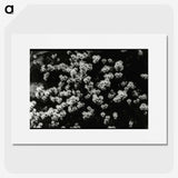 1-82_Leslie-Adkin_picture