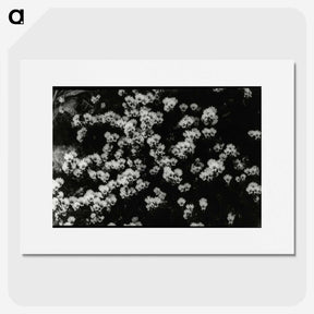 1-82_Leslie-Adkin_picture