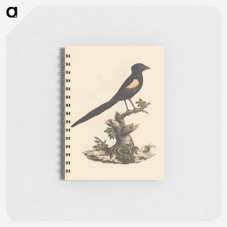 アートメモ帳-Euplectes axillaris
 - ルイージ バルガーニ Memo.