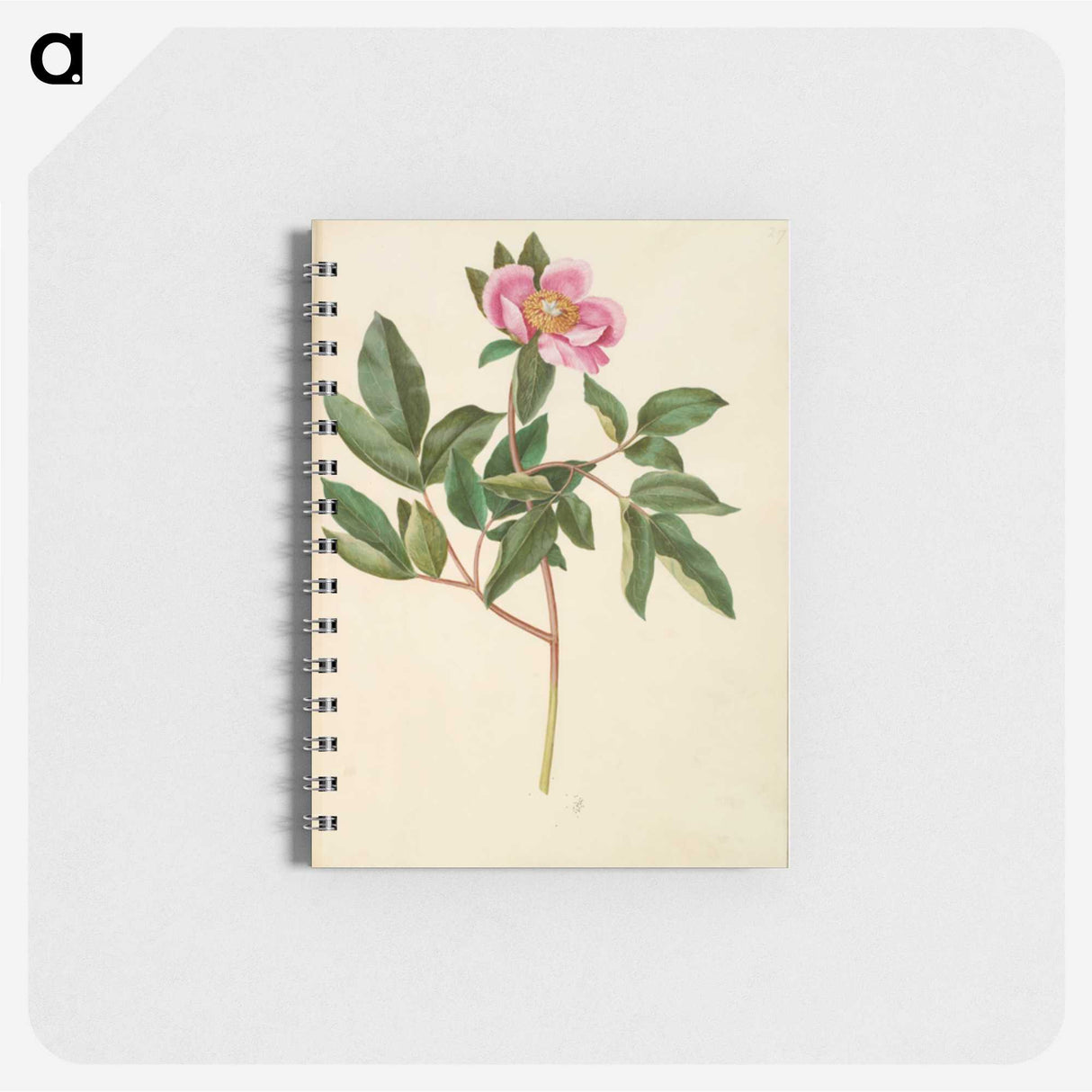 1-82_Maria-Sibylla-Merian_memo