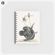 1-82_Mark-Catesby_memo