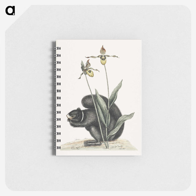1-82_Mark-Catesby_memo