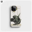 1-82_Mark-Catesby_phone