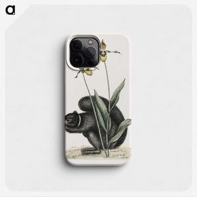 1-82_Mark-Catesby_phone