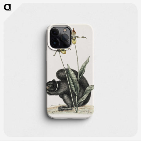 1-82_Mark-Catesby_phone