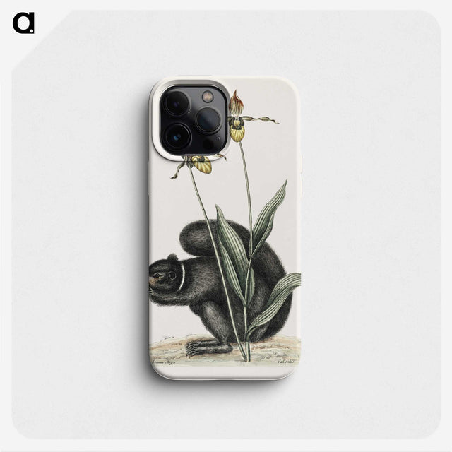 1-82_Mark-Catesby_phone
