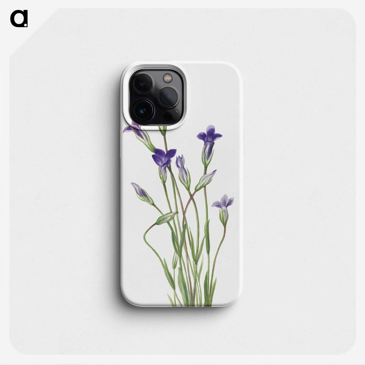 1-82_Mary-Vaux-Walcott_phone