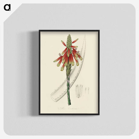 1-82_Medical-Botany_blk-crop
