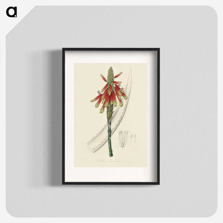 1-82_Medical-Botany_blk
