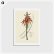 1-82_Medical-Botany_hagaki