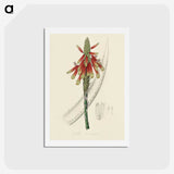 1-82_Medical-Botany_hagaki