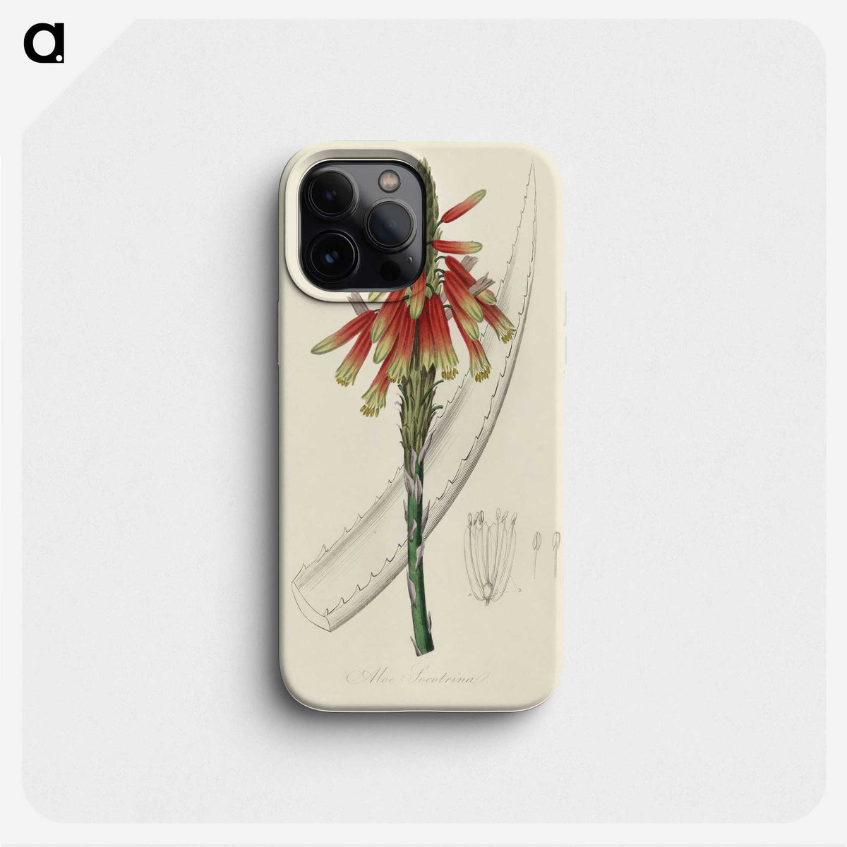 1-82_Medical-Botany_phone
