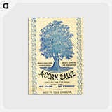 アートポストカード-A-Corn Salve Removes the Toe Corn Every Time: No Pain, No Poison
 - 国立医学図書館 Postcard.