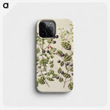 1-82_Native-Flowering-Plants-of-New-Zealand_phone