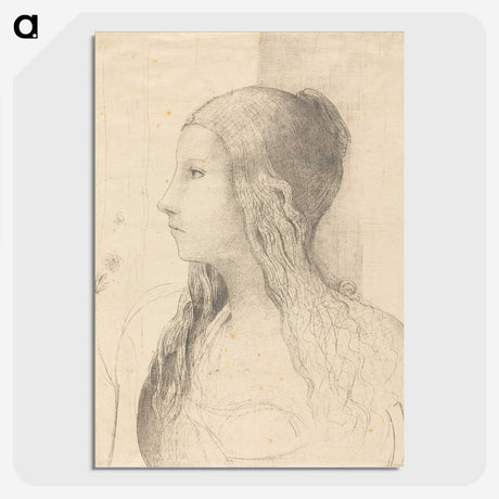 1-82_Odilon-Redon_picture-crop