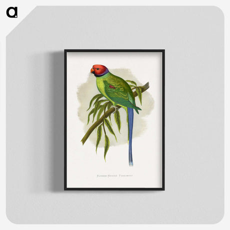 1-82_Parrots-in-Captivity_blk-crop