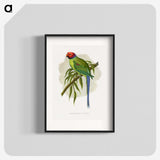 1-82_Parrots-in-Captivity_blk